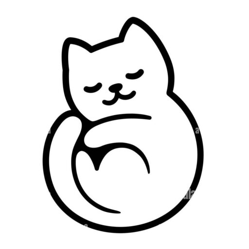 Pure breed kitties for sale
